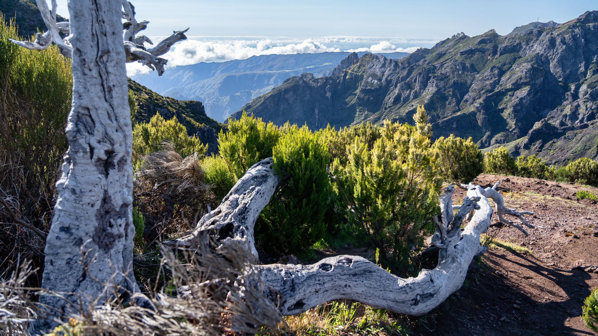 Frühmorgentliche Wanderung zum Pico Ruivo